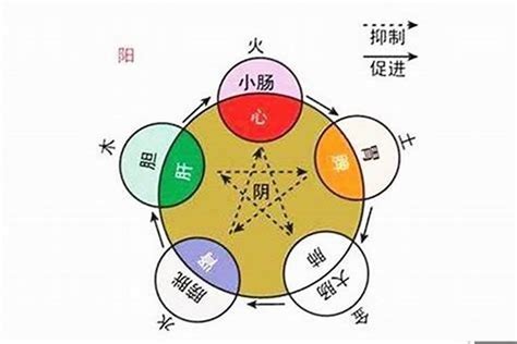 五行人怎麼看|如何知道一個人的五行屬什么